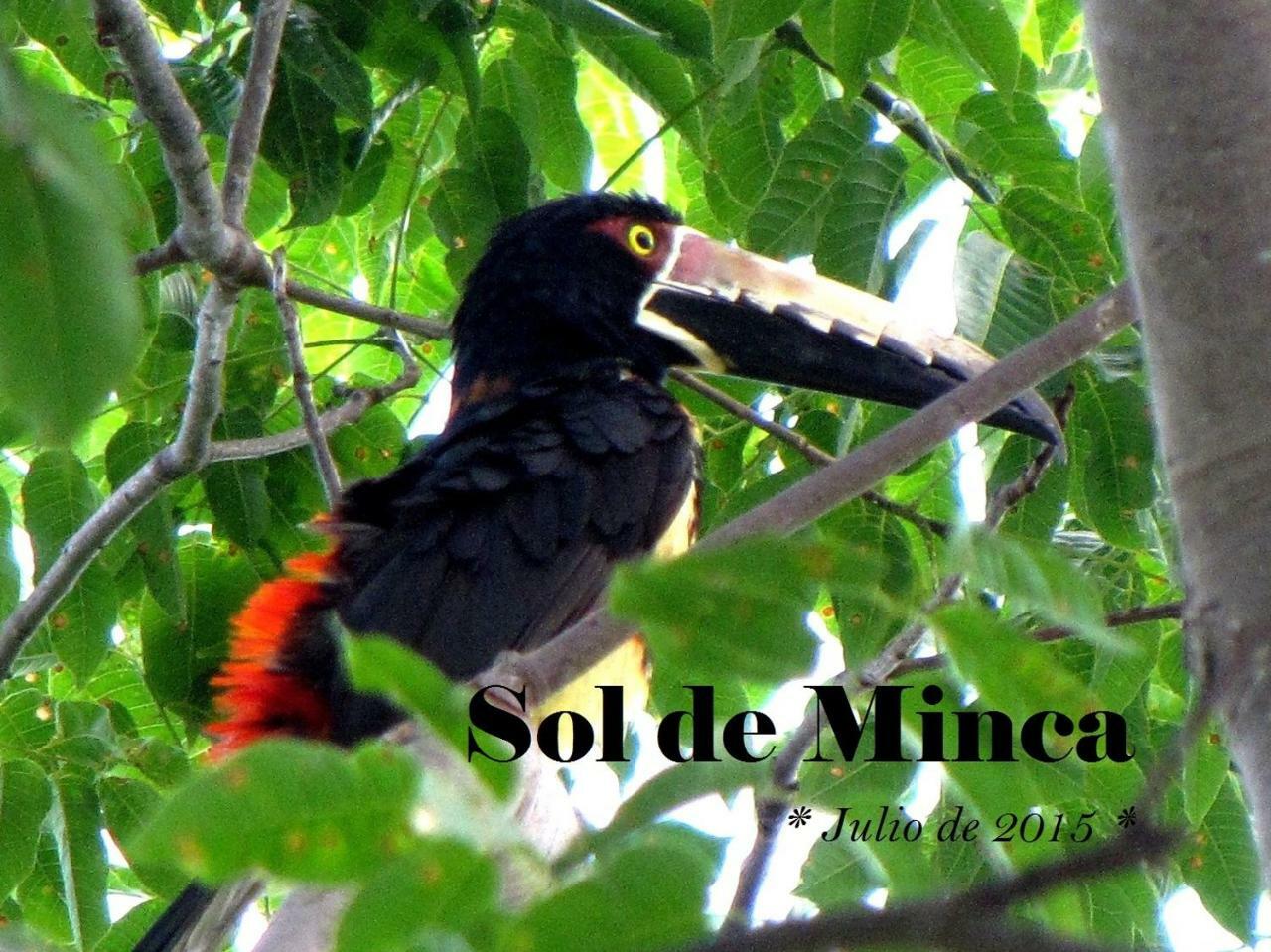 Sol De Minca Eco Lodge 外观 照片