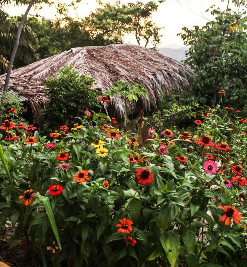Sol De Minca Eco Lodge 外观 照片