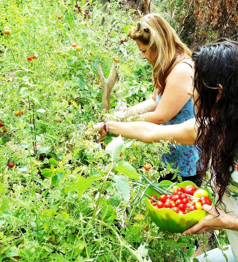 Sol De Minca Eco Lodge 外观 照片